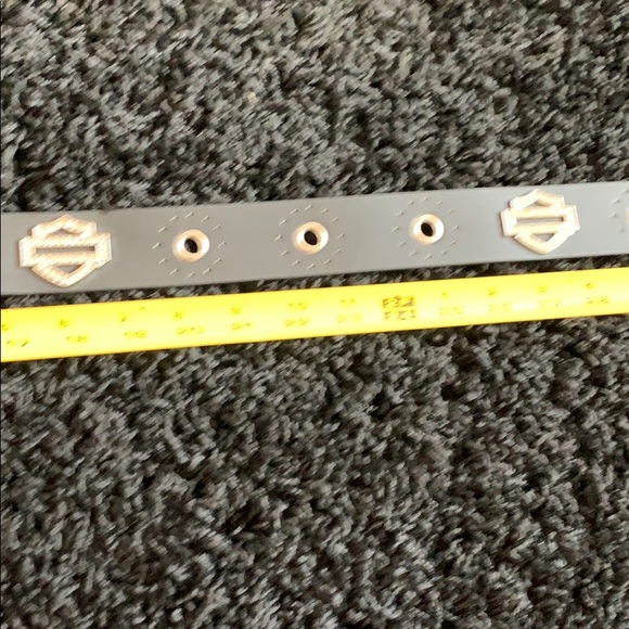 Harley-Davidson bling belt NEW - Picture 4 of 5